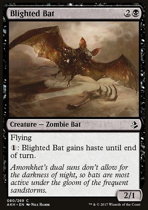 Amonkhet: Blighted Bat
