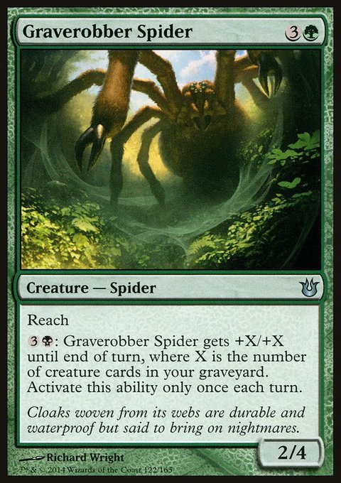 Born of the Gods: Graverobber Spider