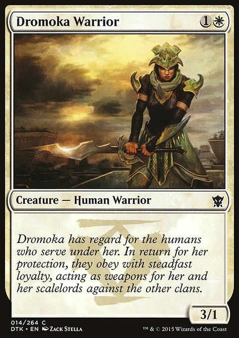 Dragons of Tarkir: Dromoka Warrior