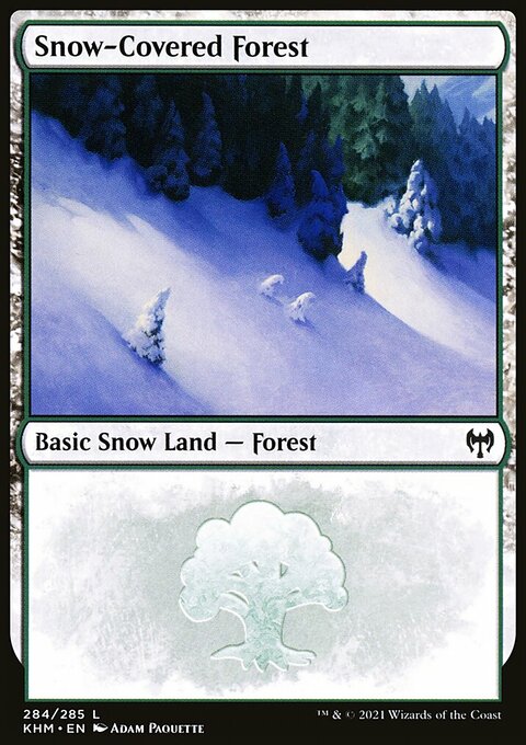 Kaldheim: Snow-Covered Forest