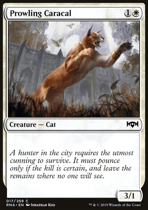 Ravnica Allegiance: Prowling Caracal