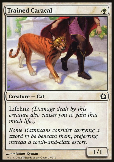 Return to Ravnica: Trained Caracal