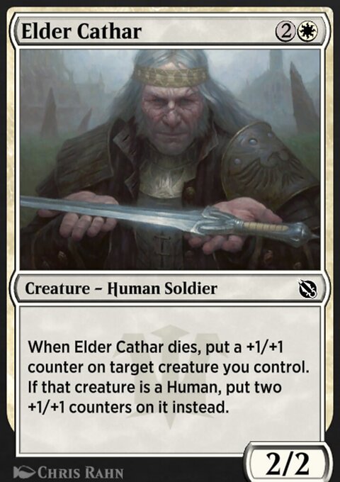 Shadows of the Past: Elder Cathar