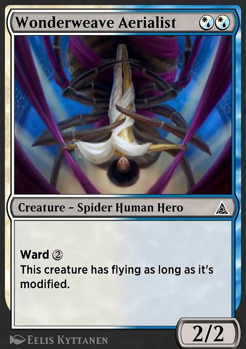 Through the Omenpaths: Skyward Spider